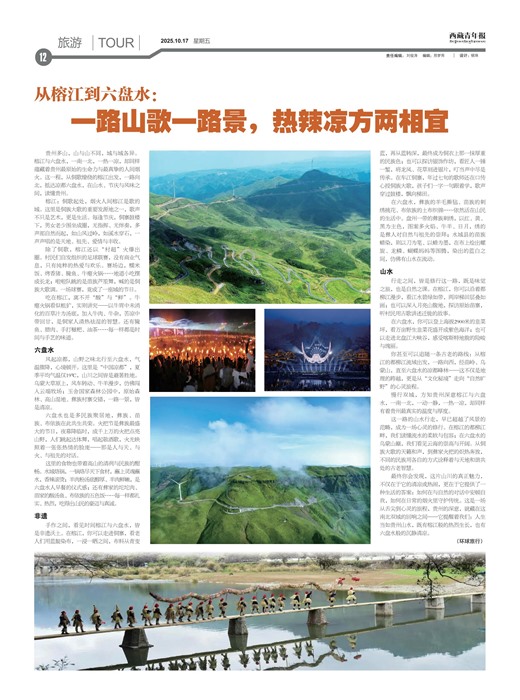 �������걨����