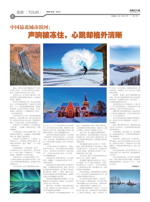 �������걨����