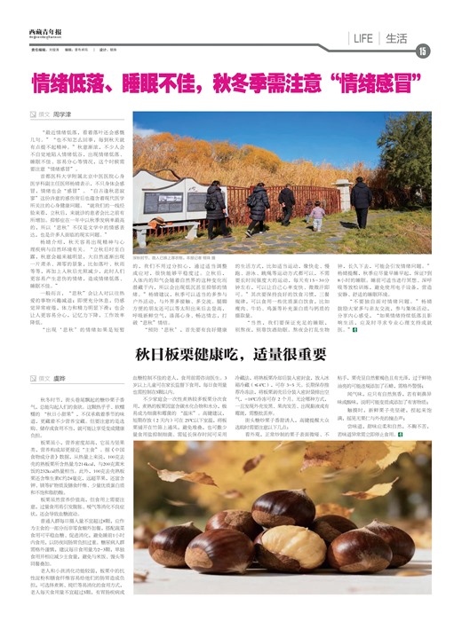 �������걨����