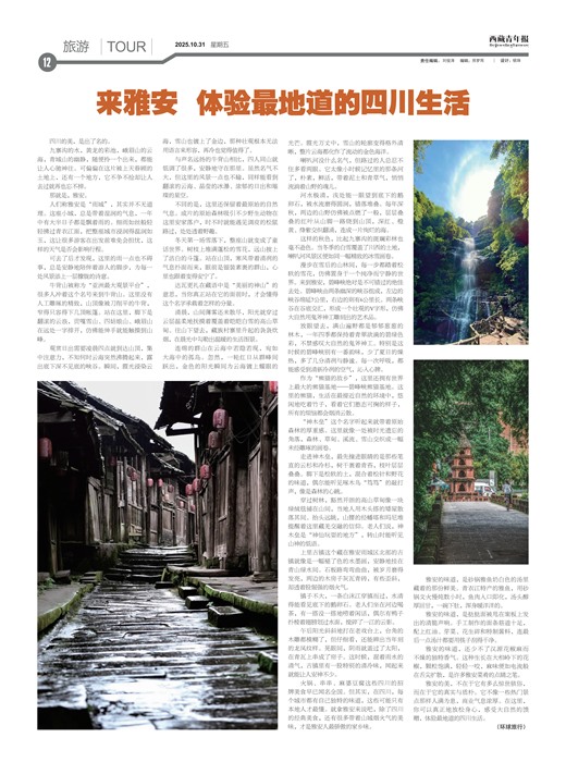 �������걨����