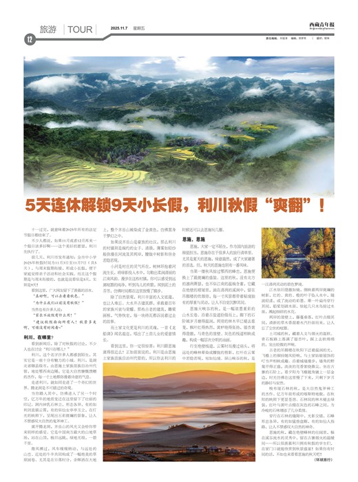 �������걨����