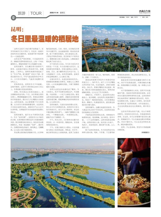 �������걨����