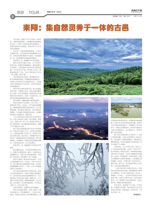 �������걨����