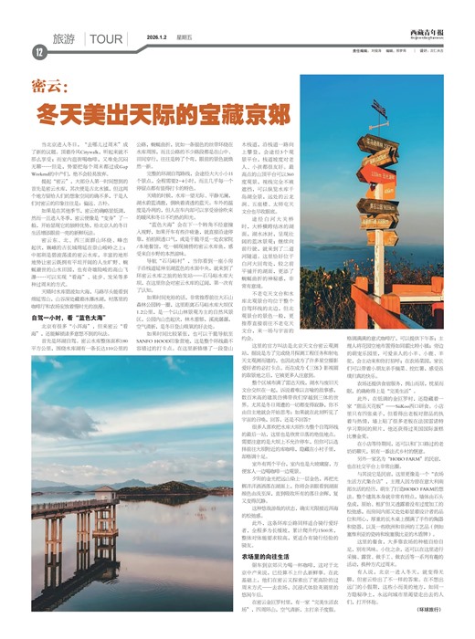 �������걨����