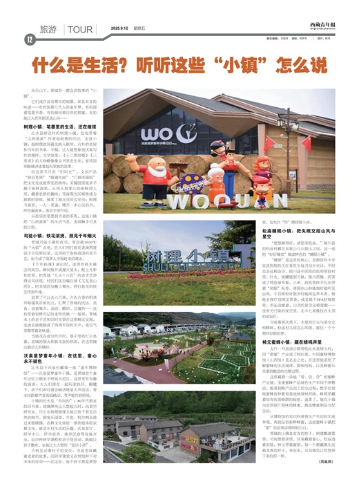 �������걨����