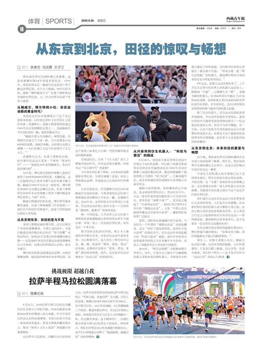 �������걨����