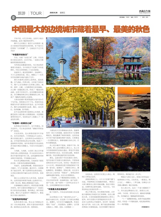 �������걨����