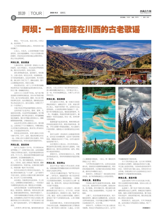 �������걨����