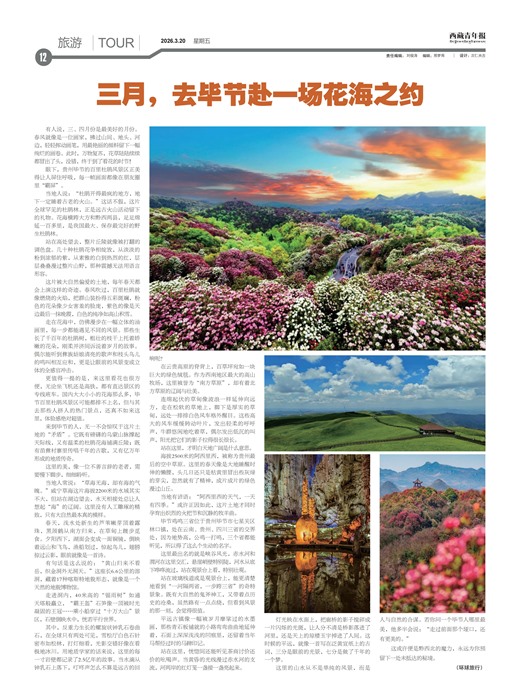 �������걨����