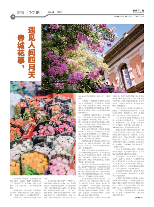 �������걨����